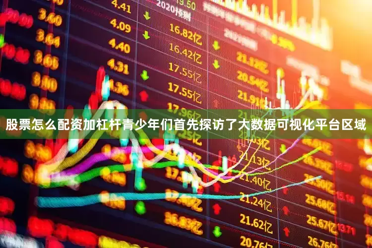 股票怎么配资加杠杆青少年们首先探访了大数据可视化平台区域