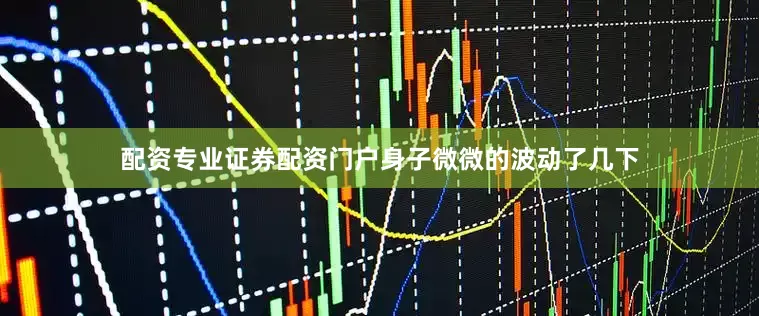 配资专业证券配资门户身子微微的波动了几下