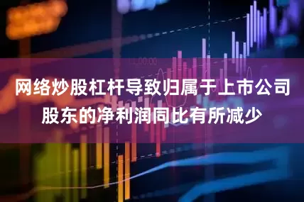 网络炒股杠杆导致归属于上市公司股东的净利润同比有所减少