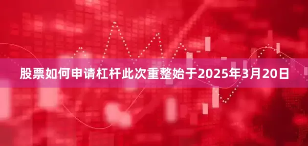 股票如何申请杠杆　　此次重整始于2025年3月20日